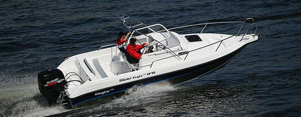  Silver Eagle 650WA   