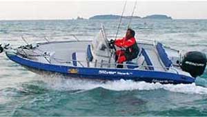 катер Silver Hawk dc 540