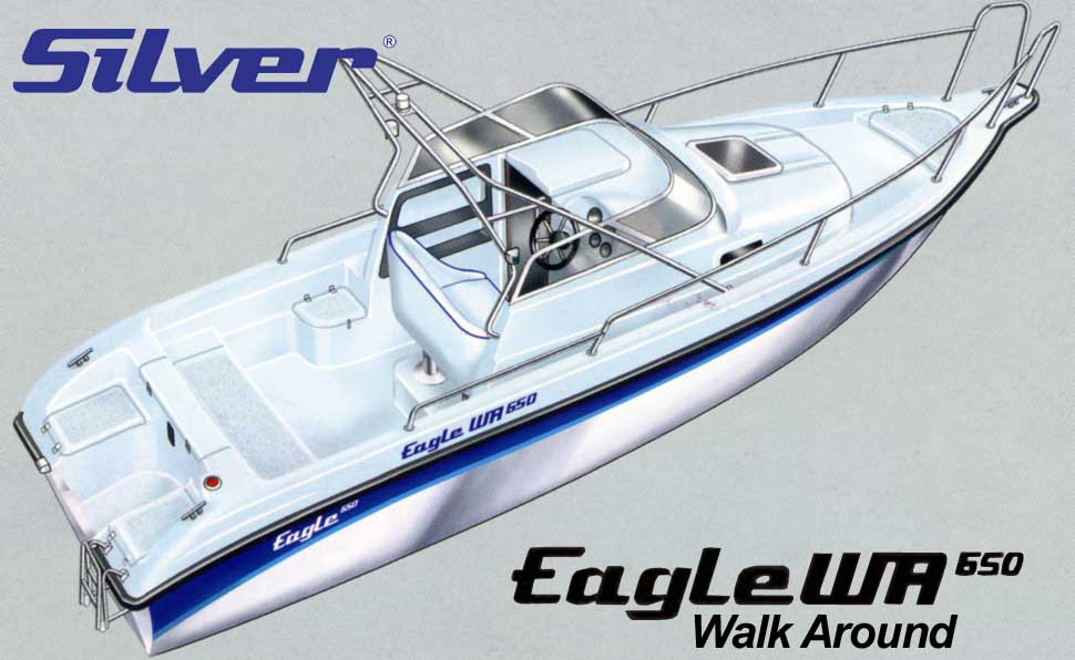 Silver Eagle Walk Around (WA) 650